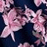 Color swatch - NAVY
