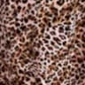 Color swatch - BLUSH LEOPARD