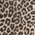 Color swatch - LEOPARD