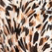 BURNT SIENNA