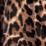 Color swatch - LEOPARD