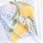 CITRUS POP