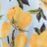 Color swatch - LEMON BLUE