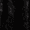 Color swatch - BLACK