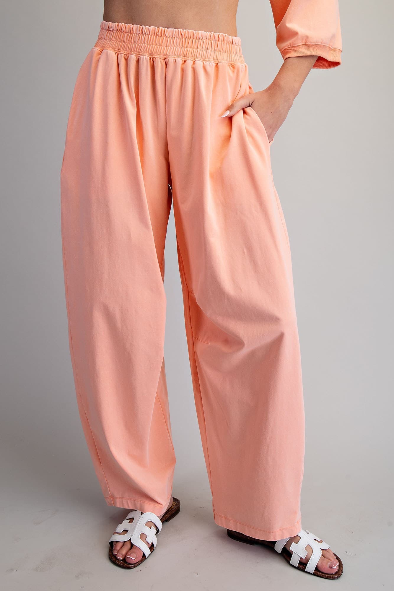 PH15596 - APRICOT