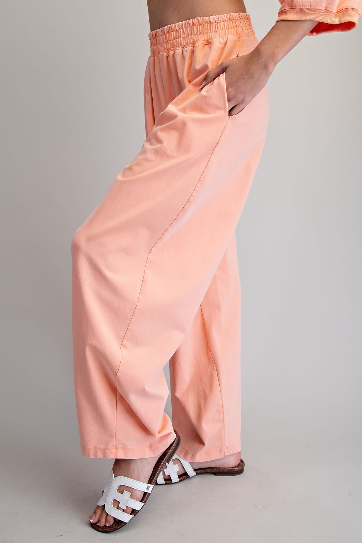 PH15596 - APRICOT