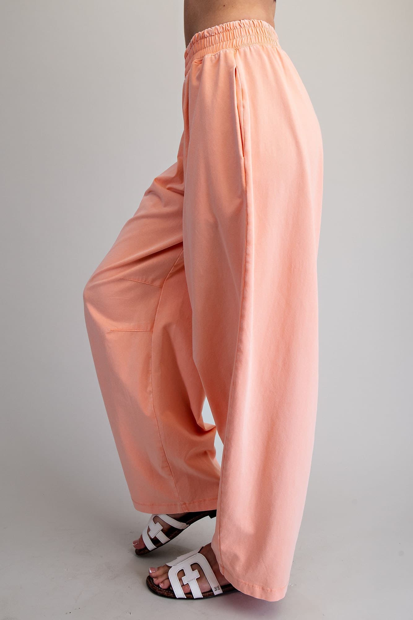 PH15596 - APRICOT