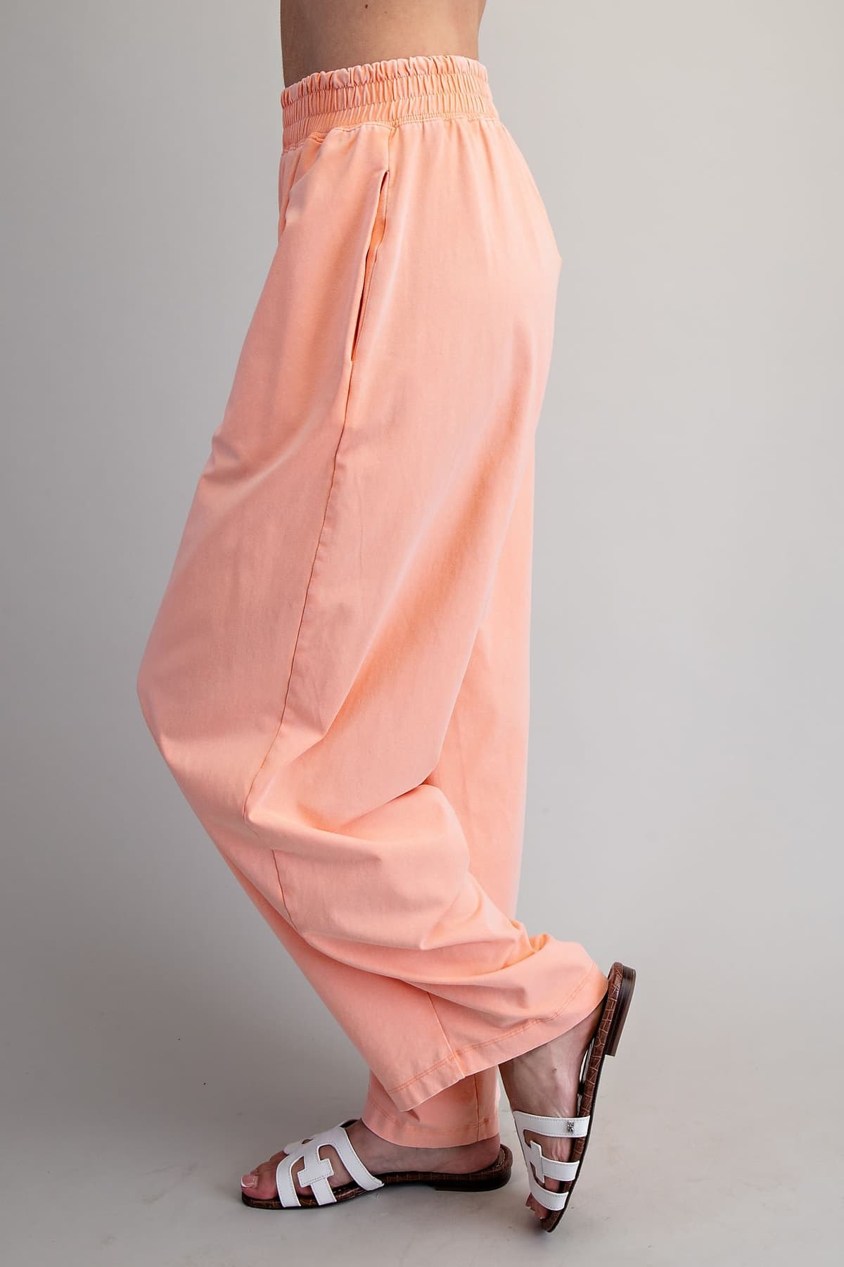 PH15596 - APRICOT