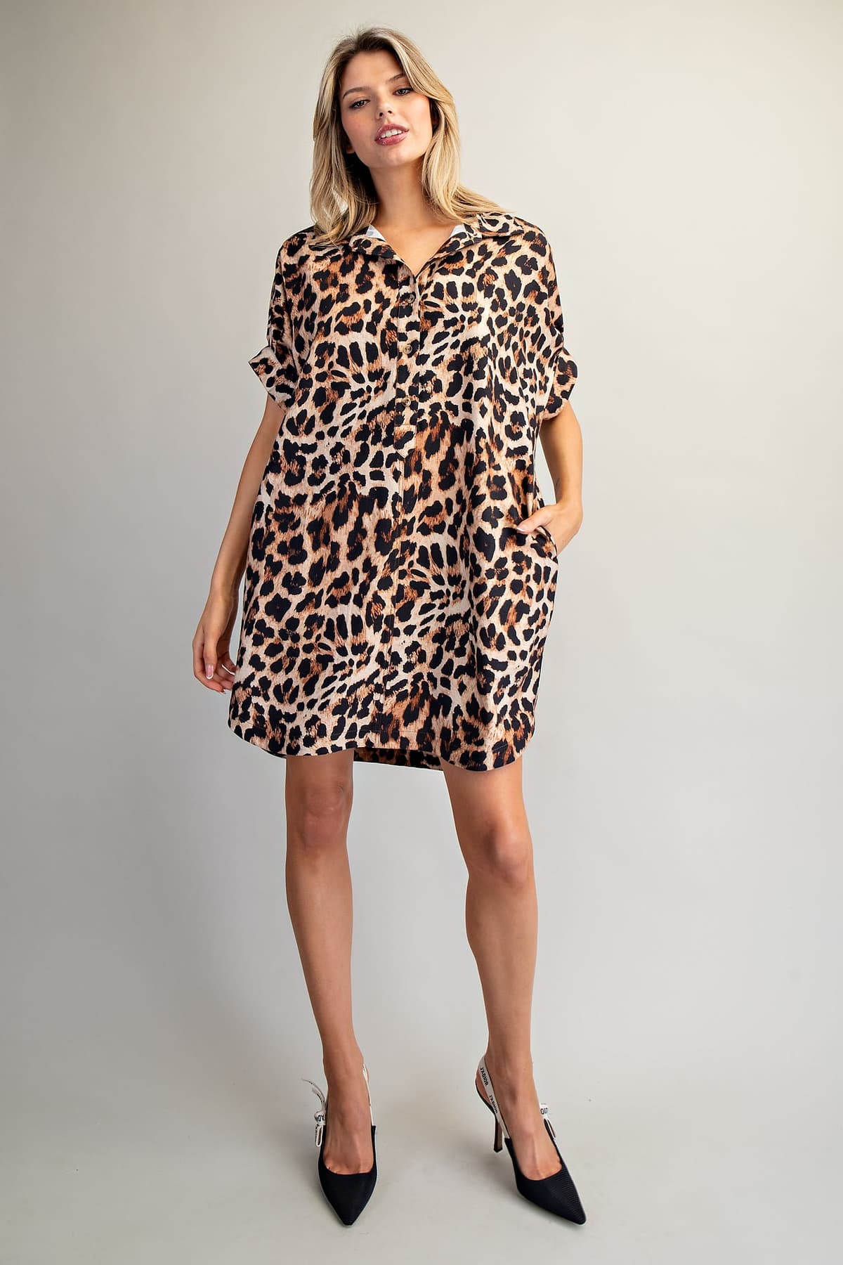 DK13247 - LEOPARD