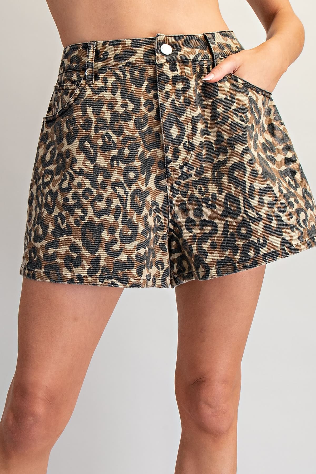 PK14951 - LEOPARD