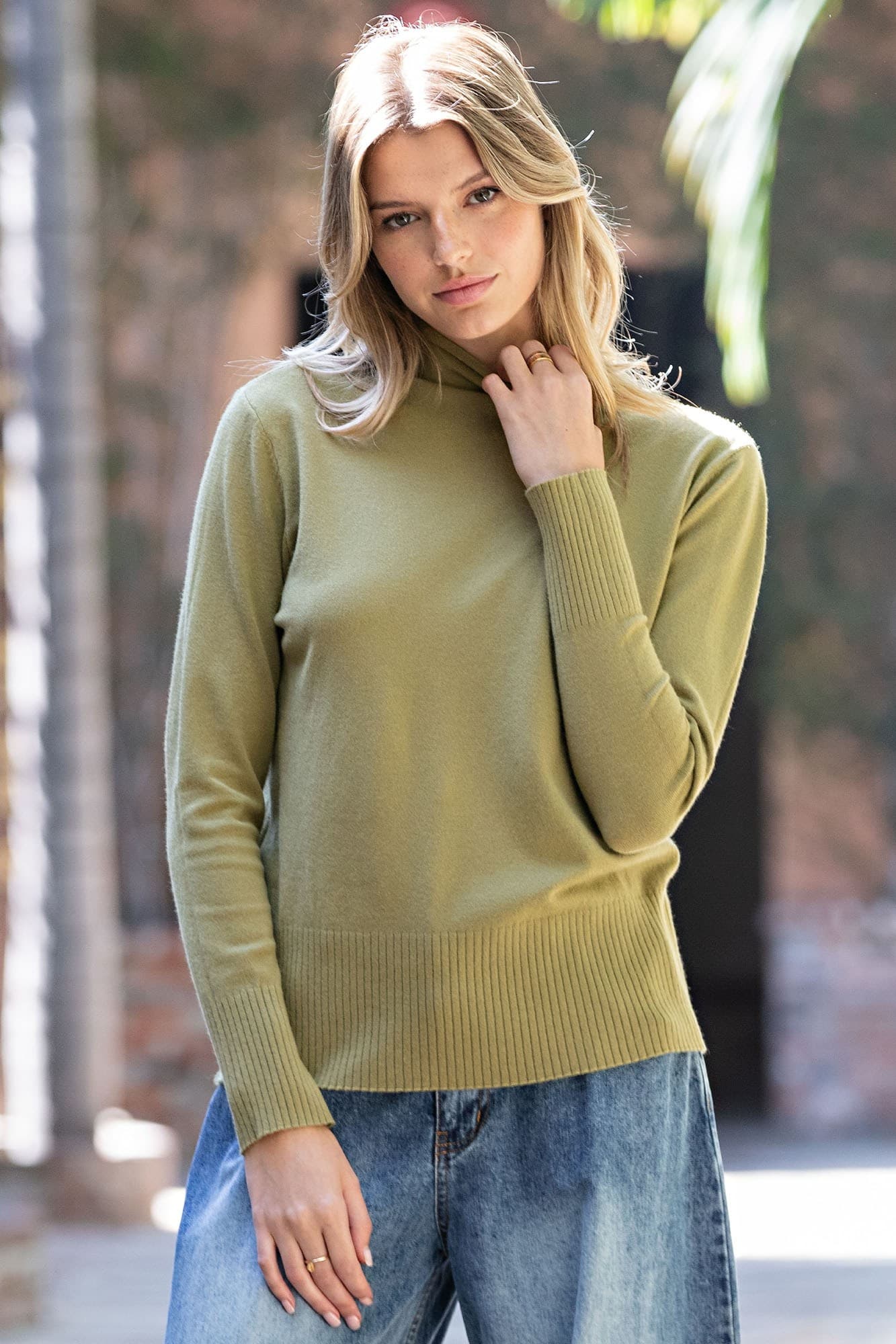 SK16357 - OLIVE GROVE