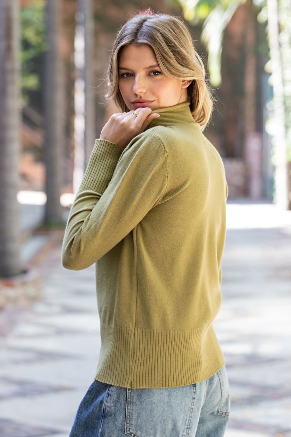 SK16357 - OLIVE GROVE