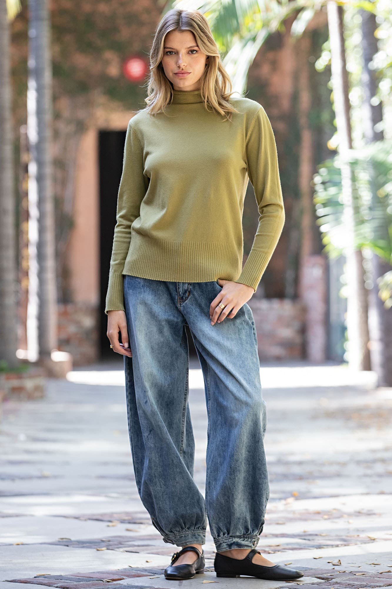 SK16357 - OLIVE GROVE