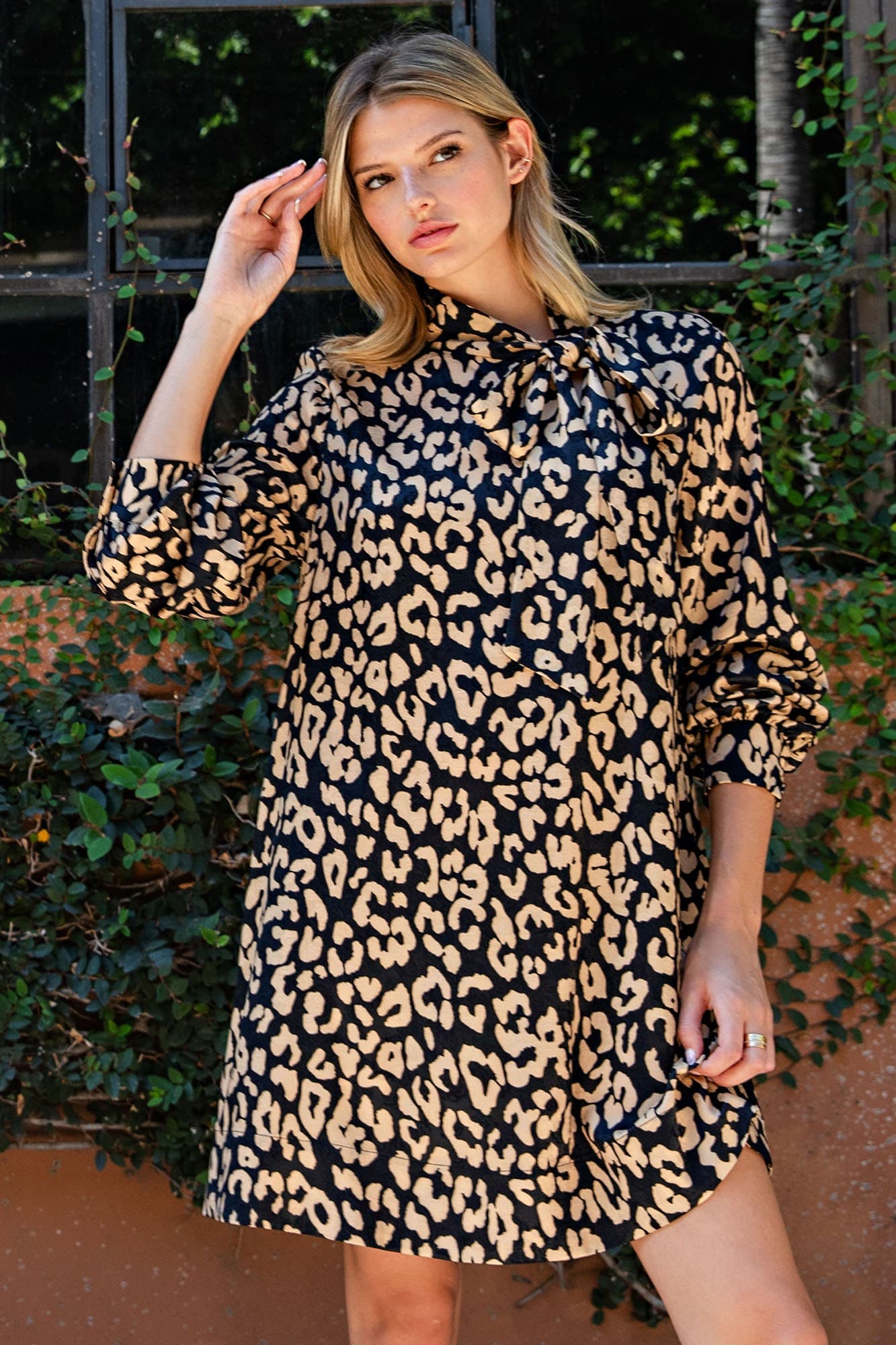 DK16180 - LEOPARD