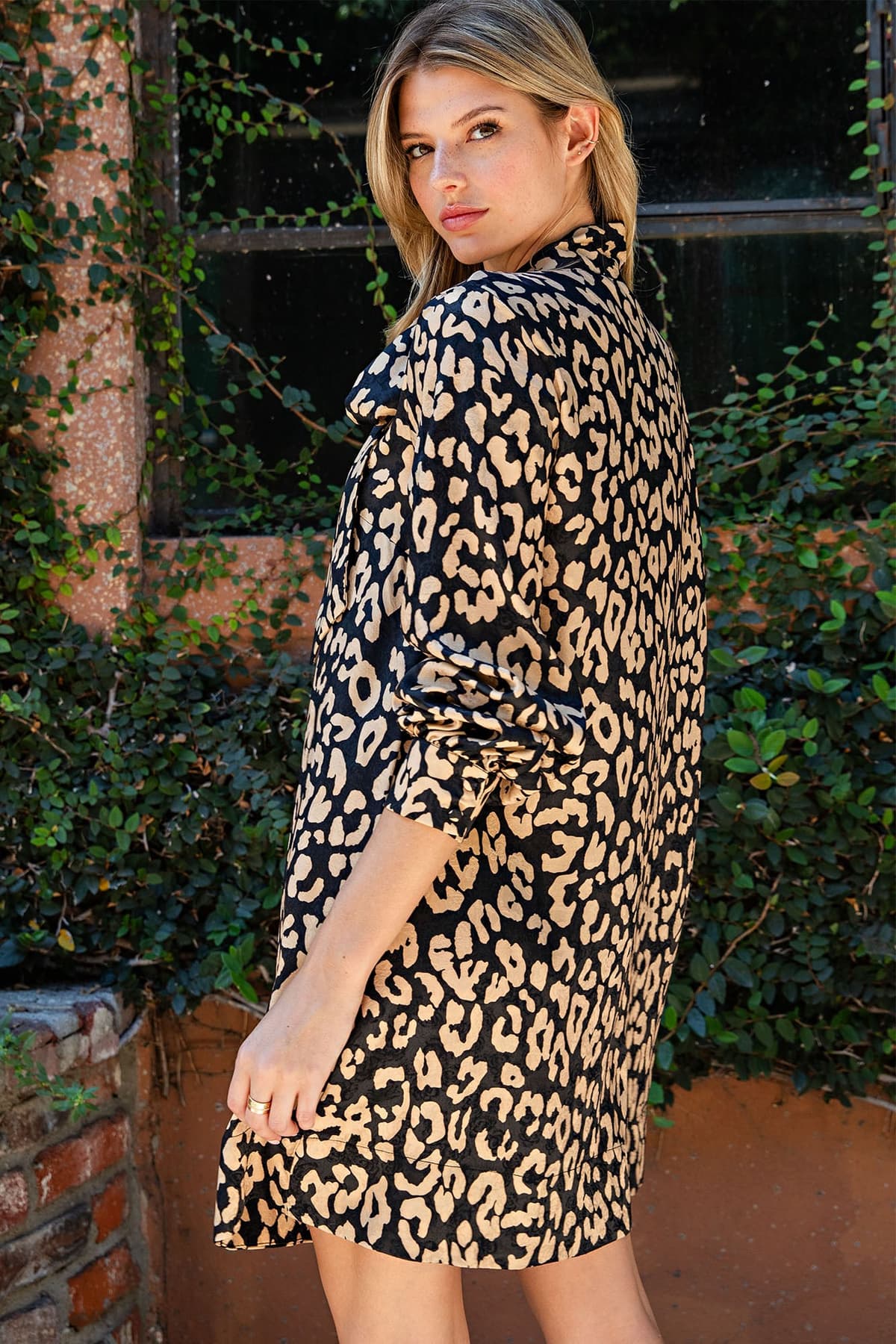 DK16180 - LEOPARD