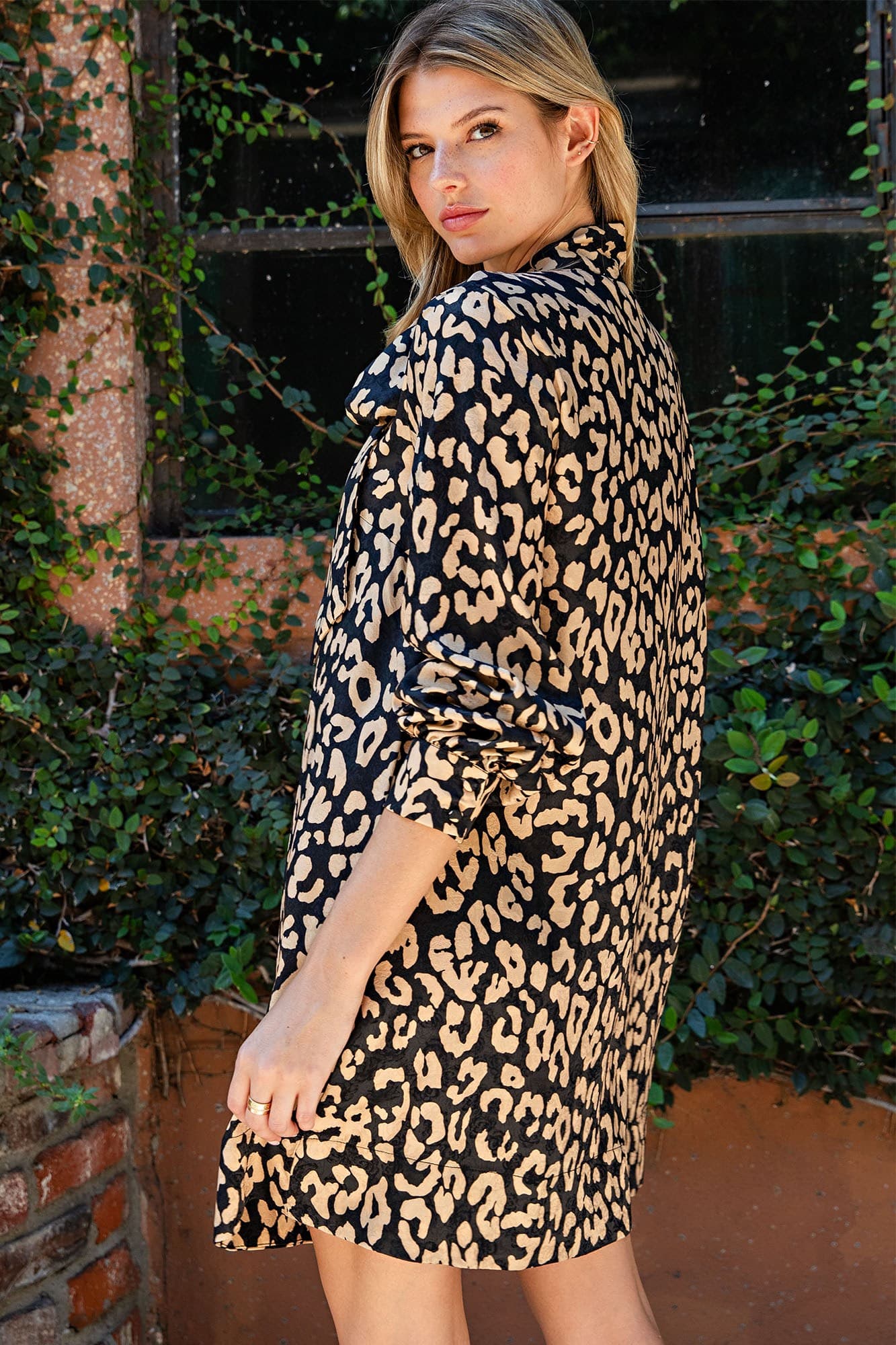 DK16180 - LEOPARD