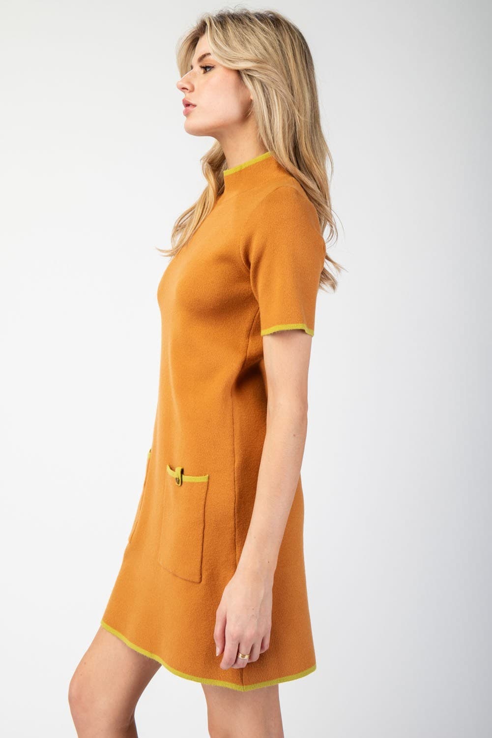 SDG10205 - GINGER
