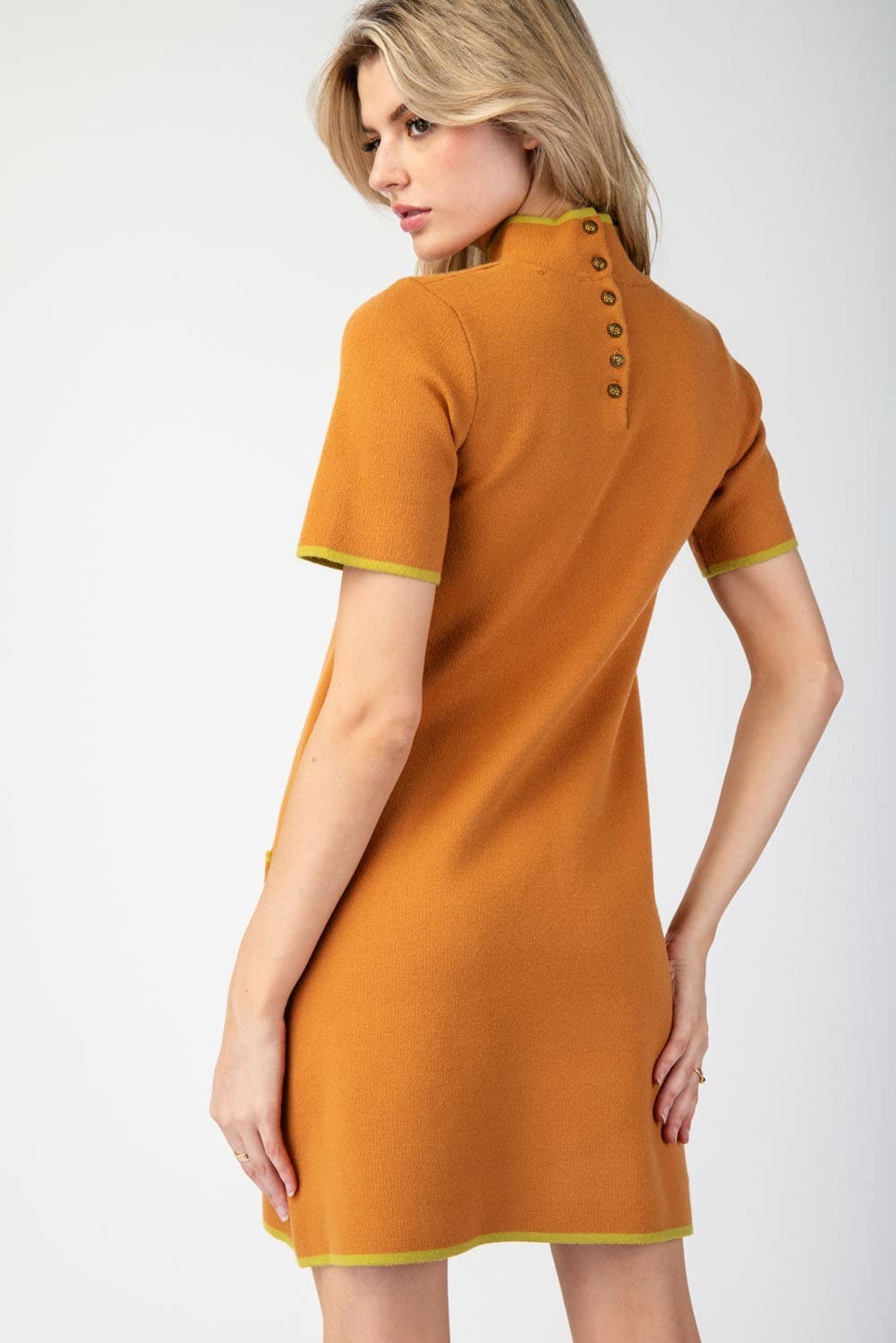 SDG10205 - GINGER