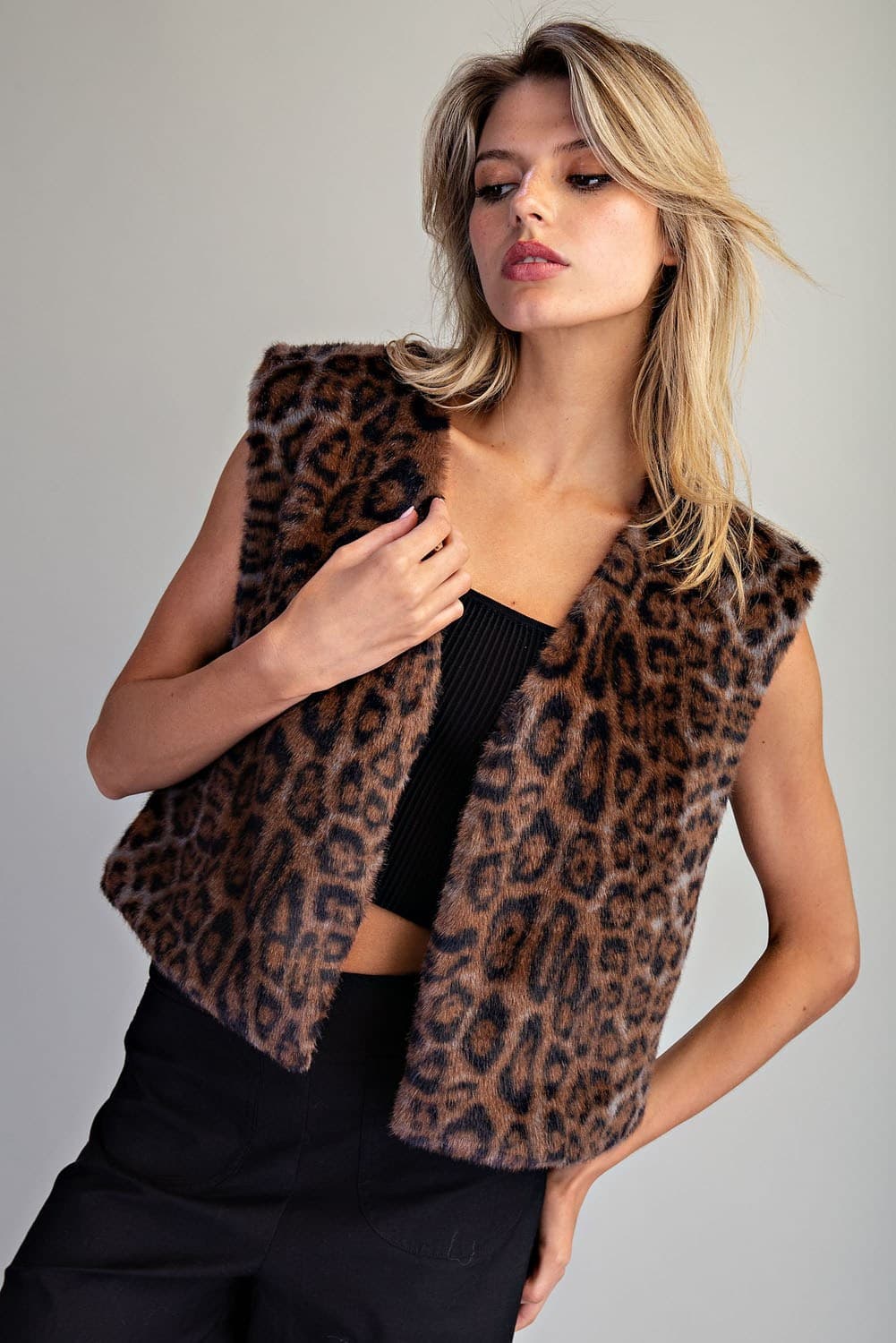 JH12869 - BROWN