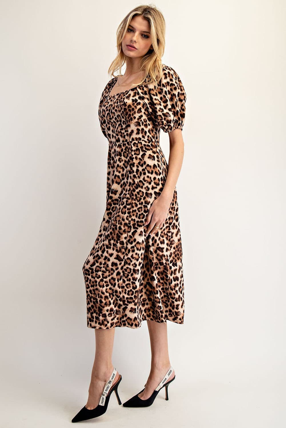 DK14193 - LEOPARD