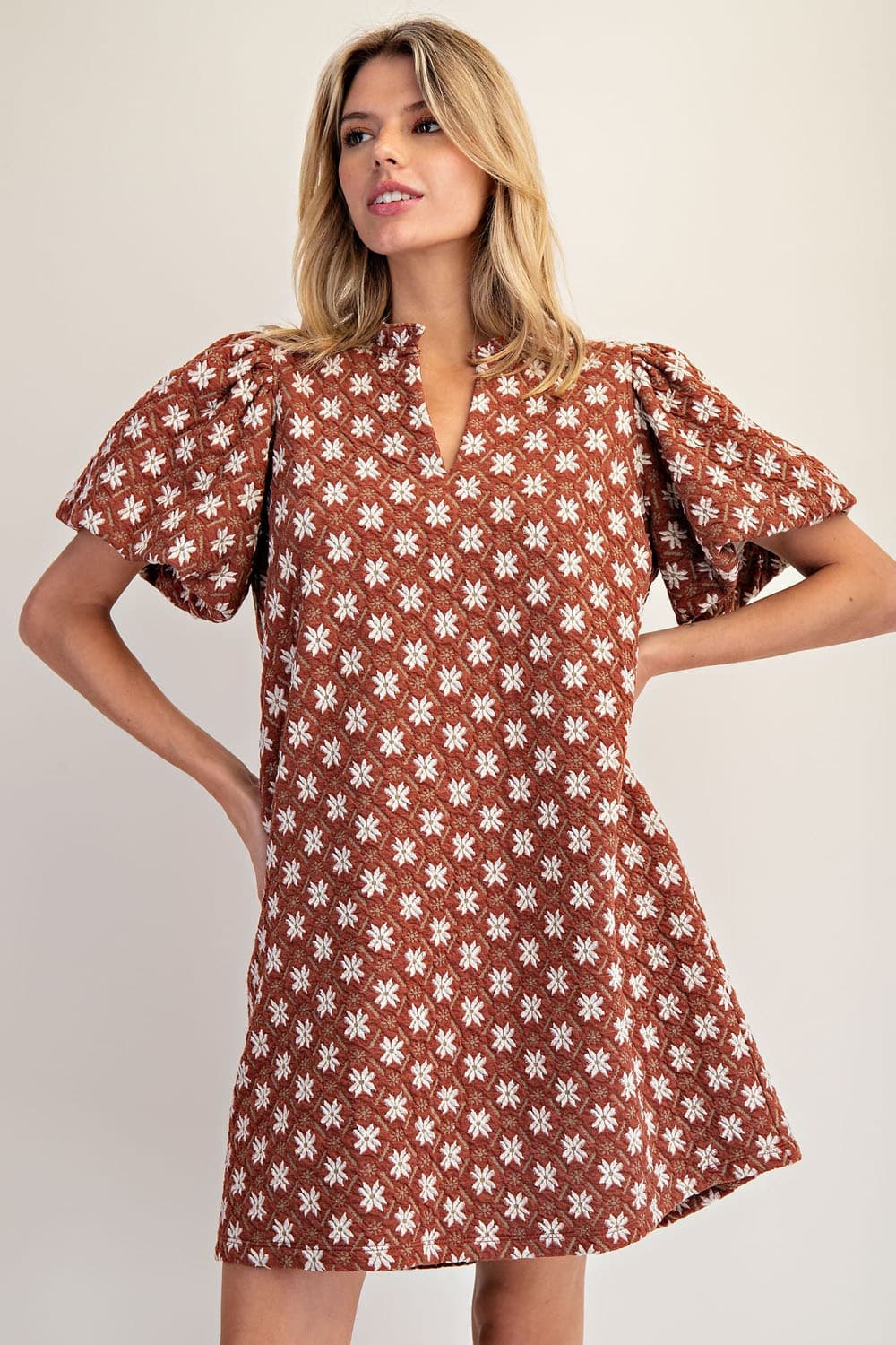 DH15227 - CINNAMON