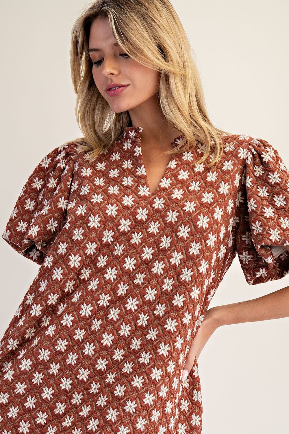 DH15227 - CINNAMON